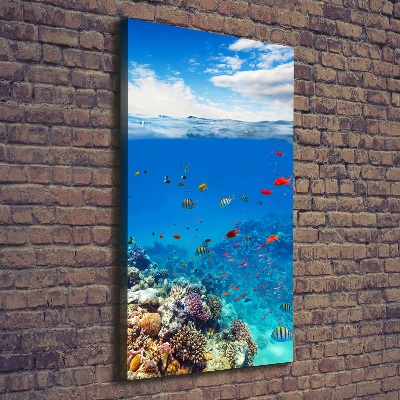 Vertikálny foto obraz na plátne Koralový útes