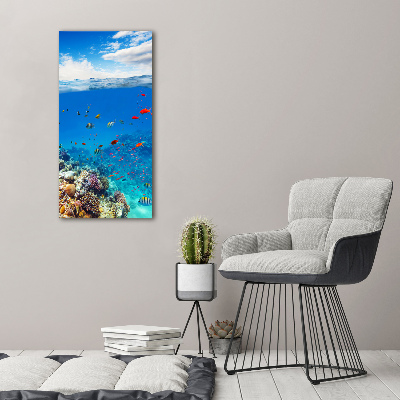 Vertikálny foto obraz na plátne Koralový útes
