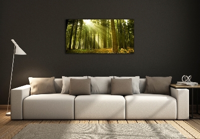 Foto obraz sklo tvrzené Sosnová les