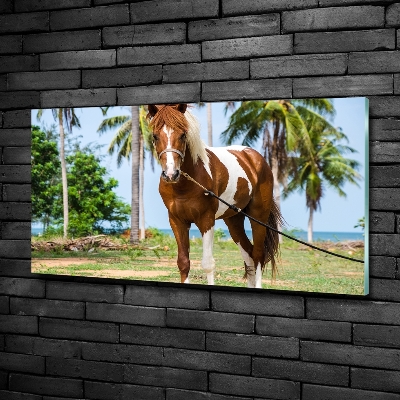 Foto obraz sklo tvrzené strakatý kôň