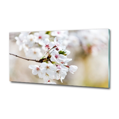 Foto-obraz fotografie na skle kvety višne