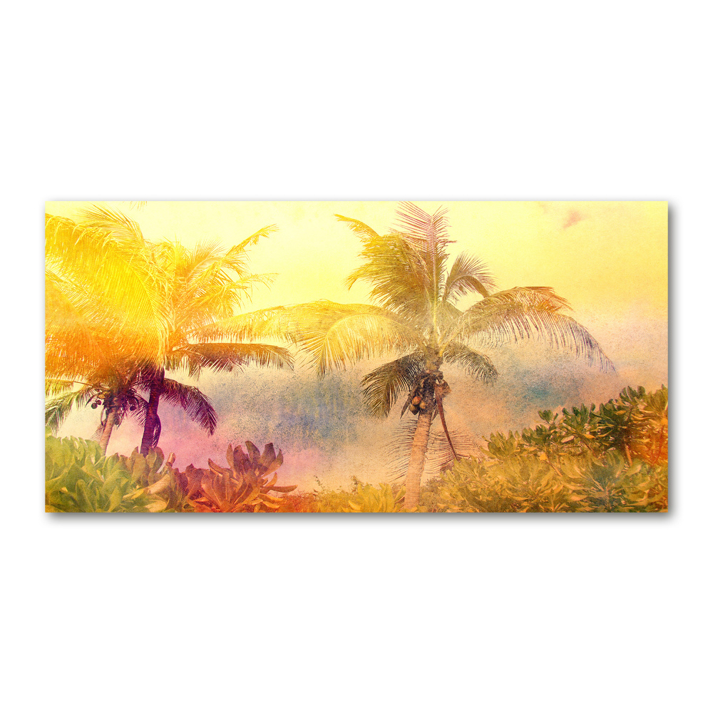 Foto obraz fotografie na skle farebné palmy