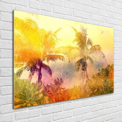 Foto obraz fotografie na skle farebné palmy