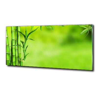 Fotoobraz na skle bambus