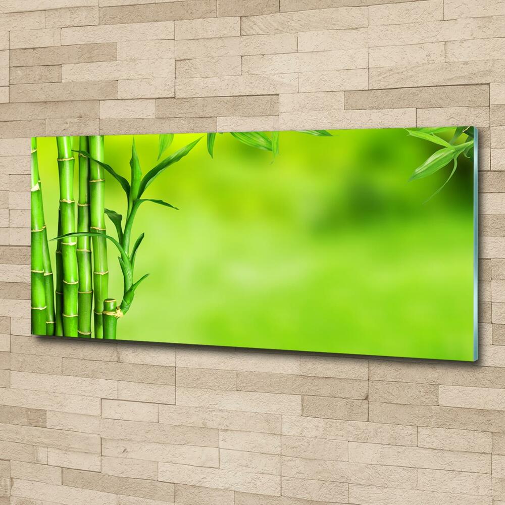 Fotoobraz na skle bambus