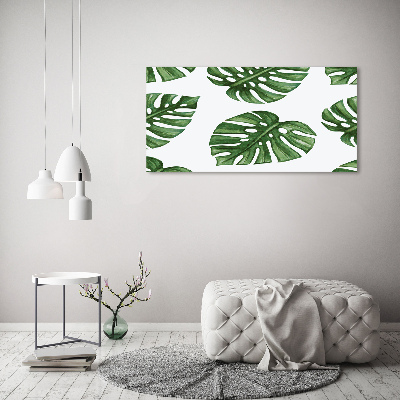 Foto obraz sklenený horizontálny Monstera