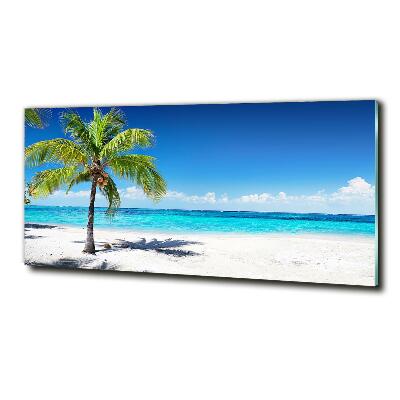 Foto obraz sklenený horizontálny tropická pláž
