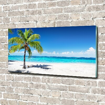 Foto obraz sklenený horizontálny tropická pláž