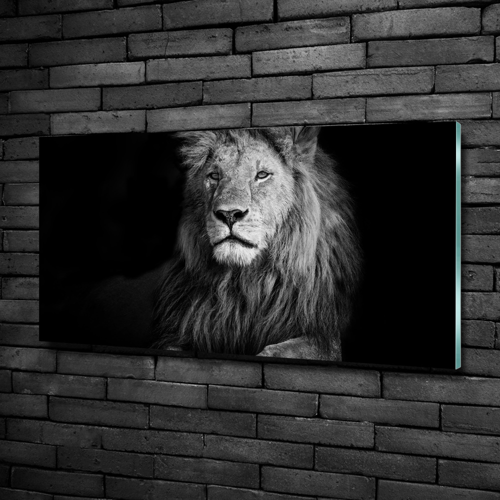Foto-obraz na skle Lev
