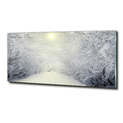 Foto obraz fotografie na skle Pekný zimný les