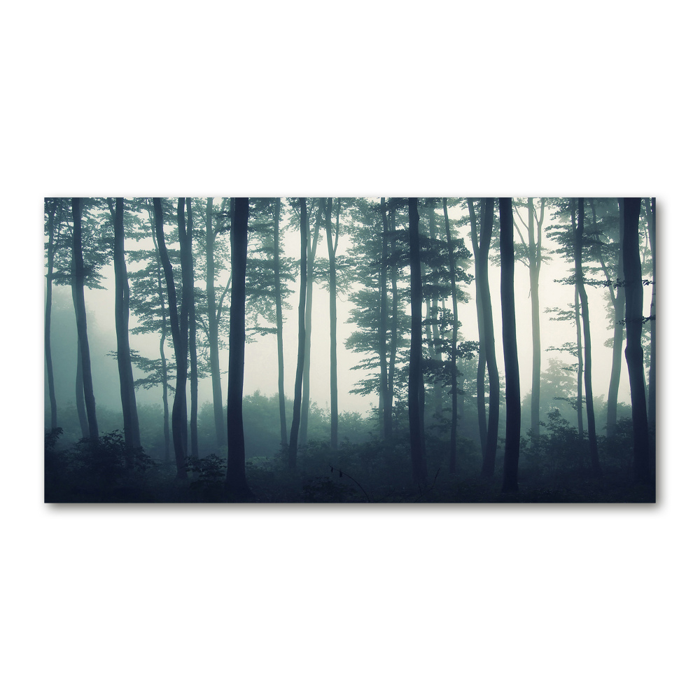 Foto obraz fotografie na skle Les v hmle