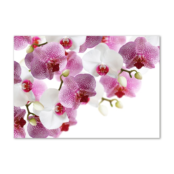 Foto obraz sklo tvrzené orchidea