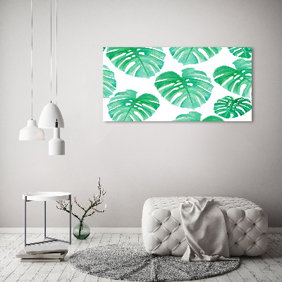 Foto obraz sklenený horizontálny Monstera