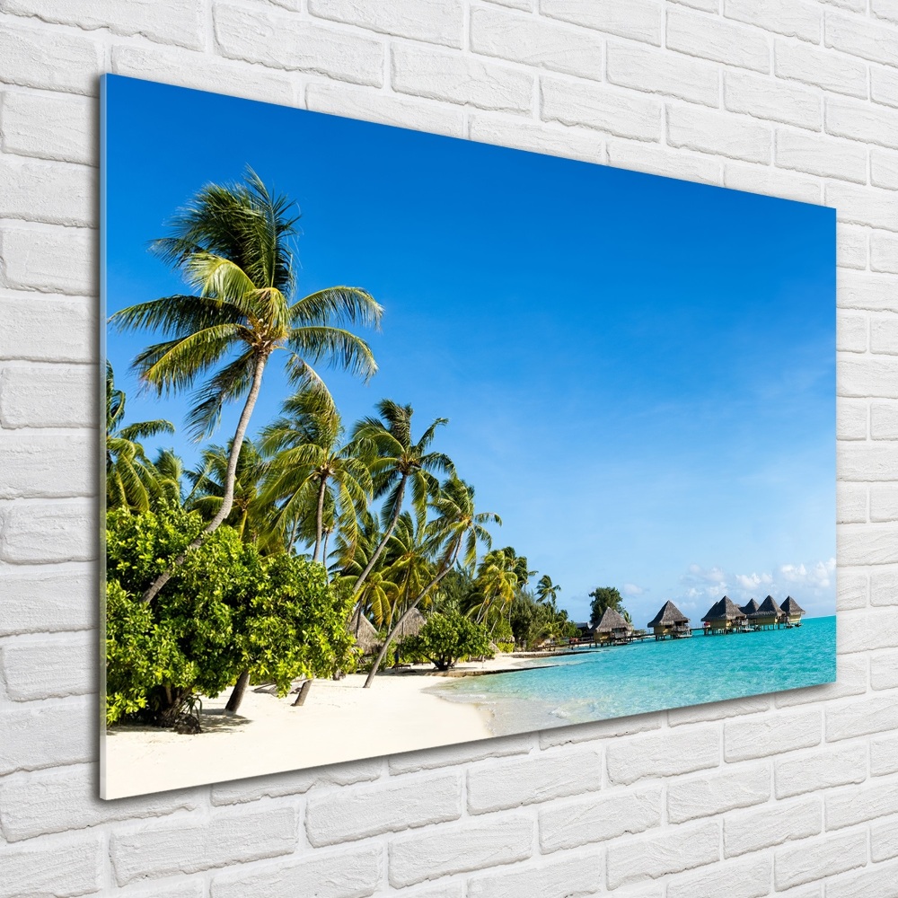 Fotoobraz na skle Pláž na Karibských ostrovoch