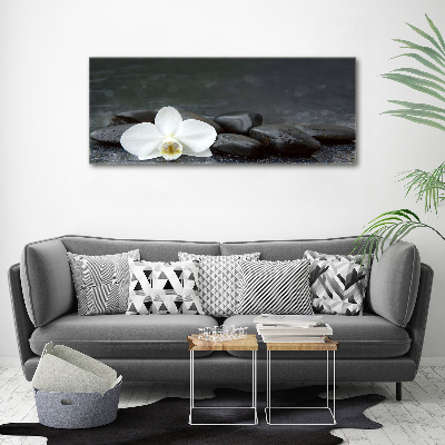 Foto obraz fotografie na skle orchidea