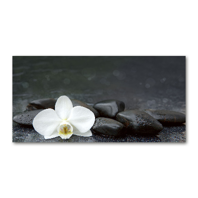 Foto obraz fotografie na skle orchidea
