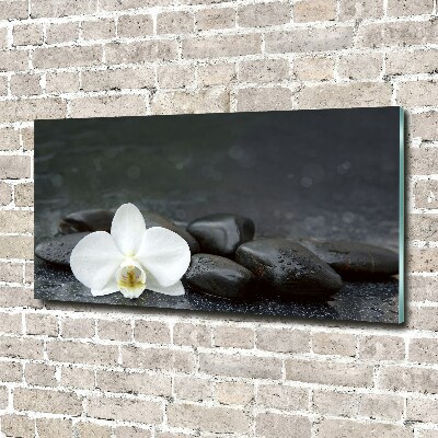 Foto obraz fotografie na skle orchidea