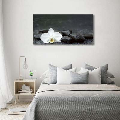 Foto obraz fotografie na skle orchidea