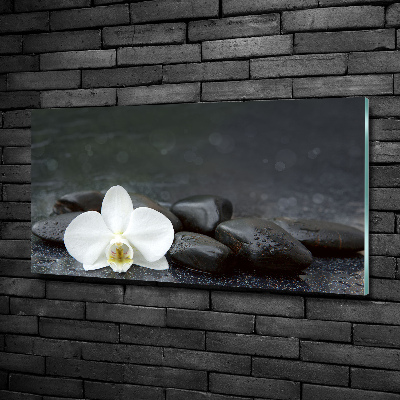 Foto obraz fotografie na skle orchidea