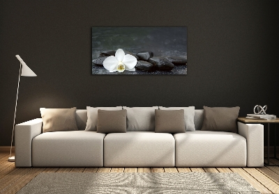 Foto obraz fotografie na skle orchidea