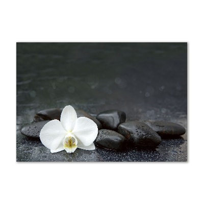 Foto obraz fotografie na skle orchidea