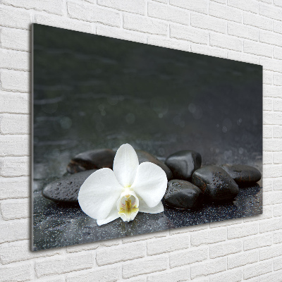 Foto obraz fotografie na skle orchidea