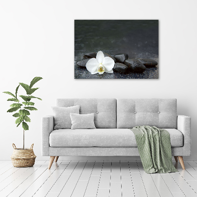 Foto obraz fotografie na skle orchidea