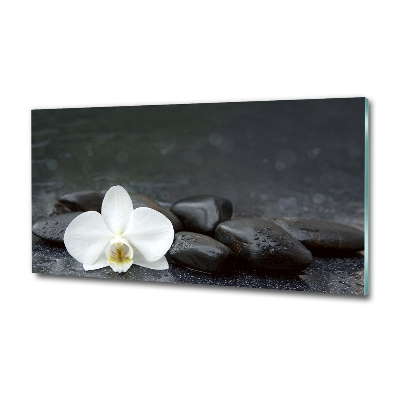 Foto obraz fotografie na skle orchidea