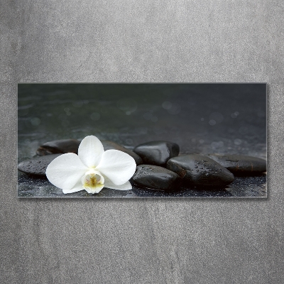 Foto obraz fotografie na skle orchidea