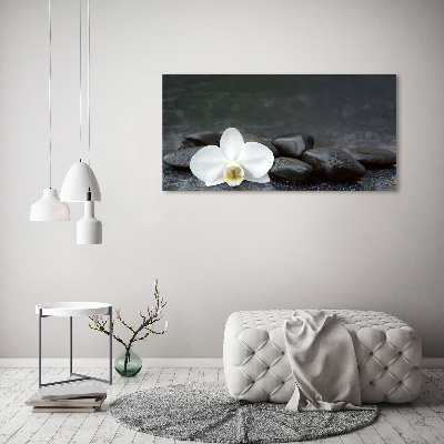Foto obraz fotografie na skle orchidea