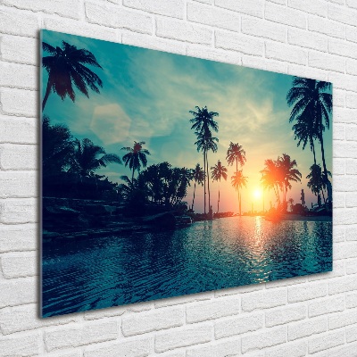 Fotoobraz na skle Západ slnka palmy