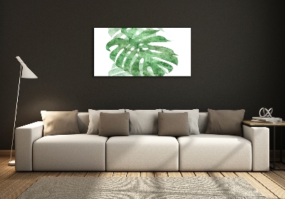 Foto obraz sklo tvrzené Monstera