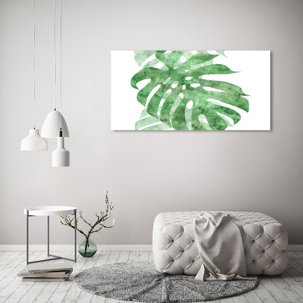 Foto obraz sklo tvrzené Monstera