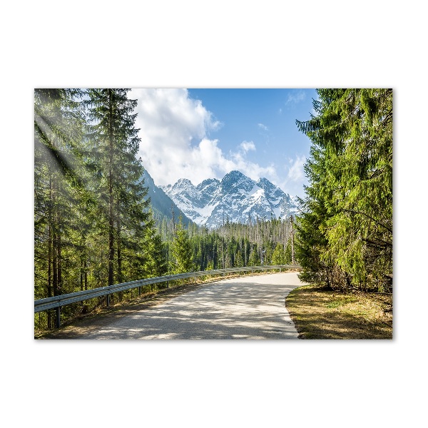 Foto obraz fotografie na skle cesta Tatry