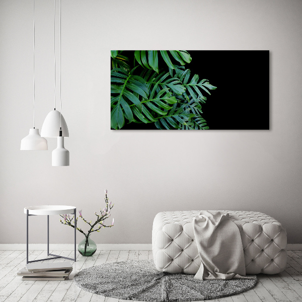 Foto obraz fotografie na skle Monstera