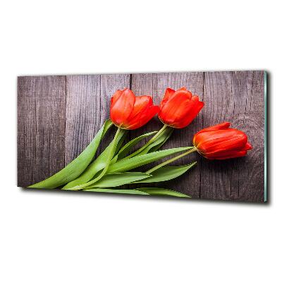 Foto obraz fotografie na skle červené tulipány