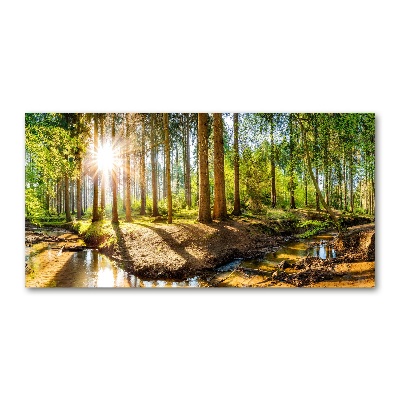 Foto obraz sklo tvrzené Panorama les