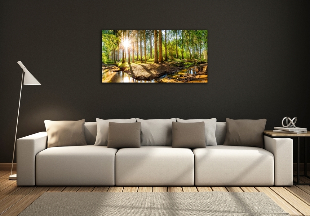Foto obraz sklo tvrzené Panorama les