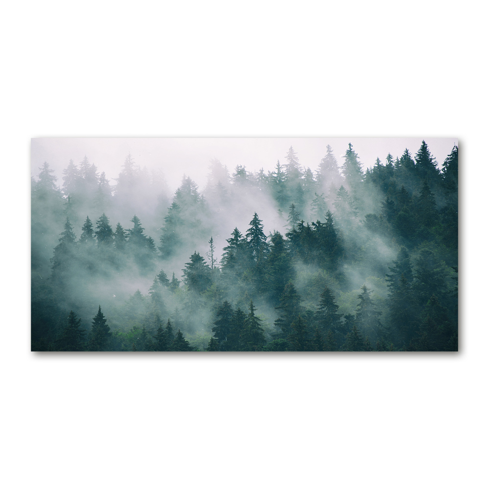Fotoobraz na skle Hmla nad lesom