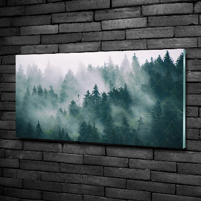 Fotoobraz na skle Hmla nad lesom