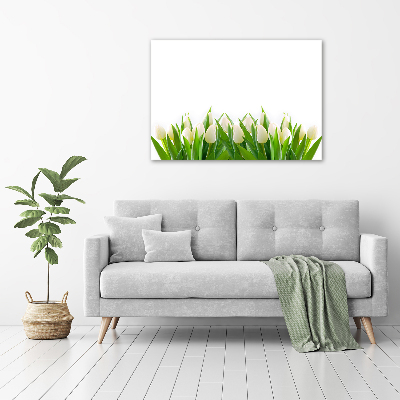 Fotoobraz na skle biele tulipány