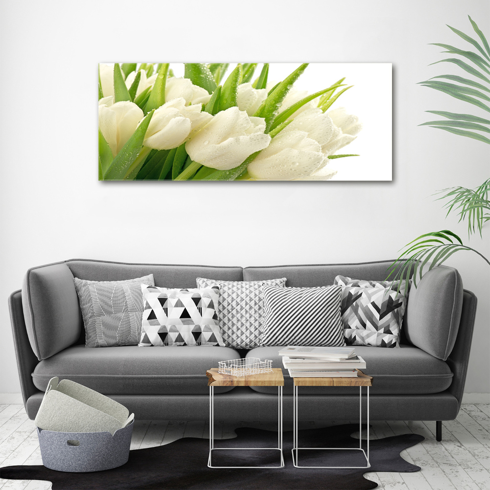 Moderný foto obraz na stenu biele tulipány