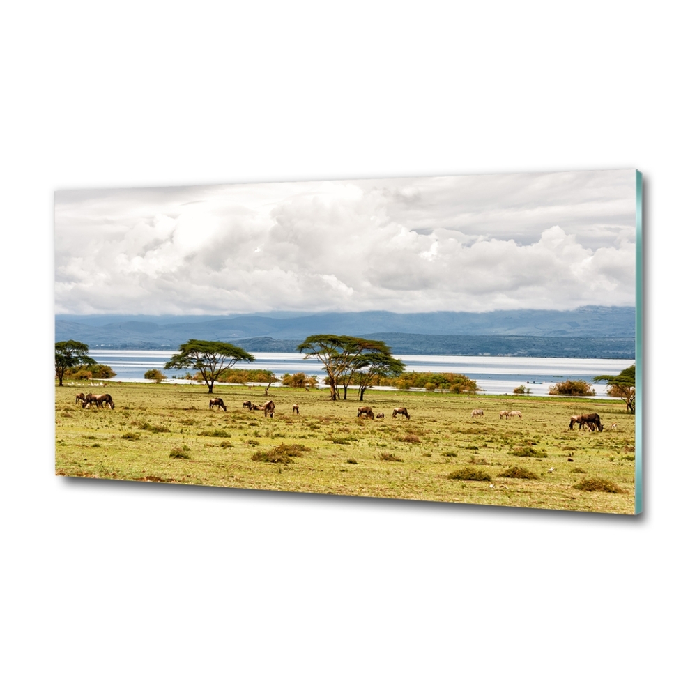 Foto obraz fotografie na skle jazero Naivasha