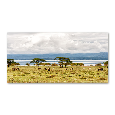 Foto obraz fotografie na skle jazero Naivasha