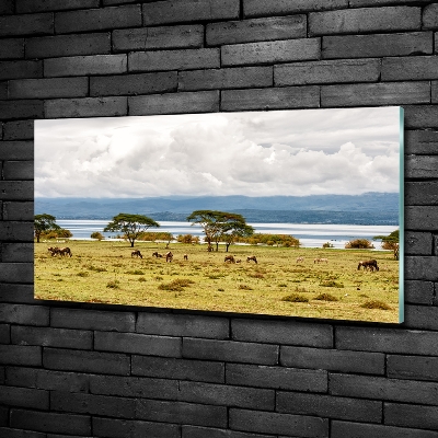 Foto obraz fotografie na skle jazero Naivasha