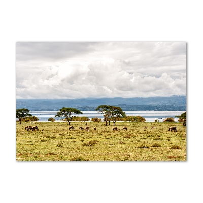 Foto obraz fotografie na skle jazero Naivasha