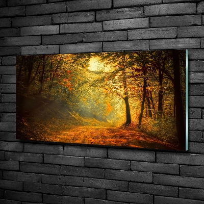 Fotoobraz na skle jesenné les