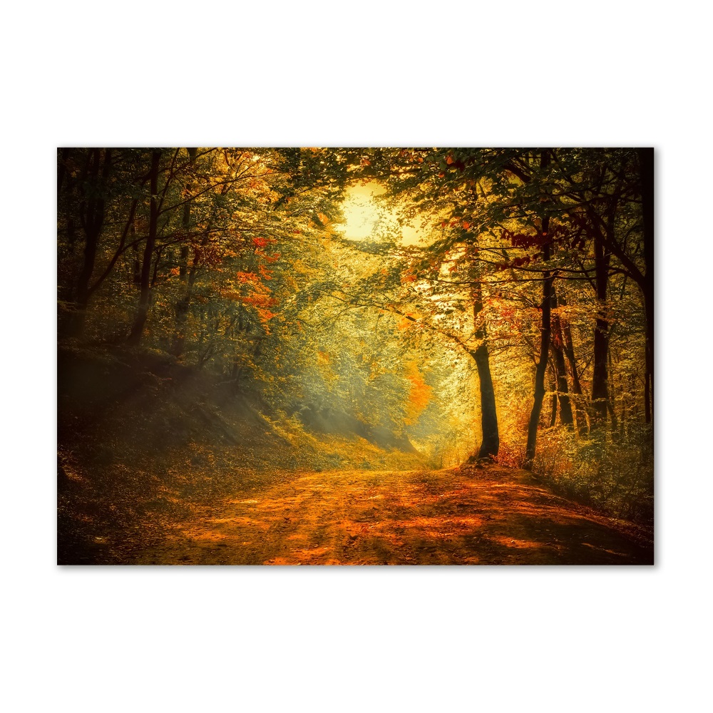 Fotoobraz na skle jesenné les