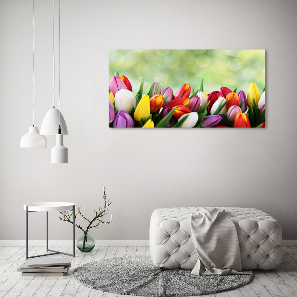 Foto-obraz fotografie na skle farebné tulipány