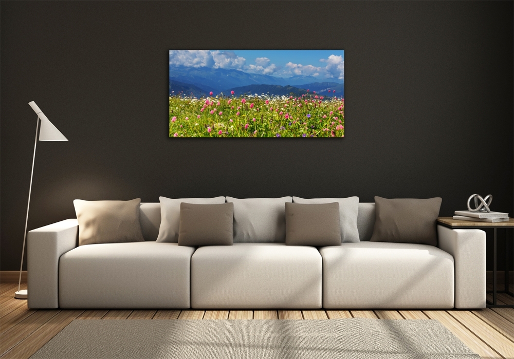 Fotoobraz na skle Lúka v horách